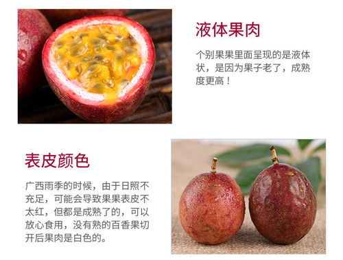 廣西百香果 現(xiàn)摘大果新鮮上市，優(yōu)質(zhì)批發(fā)直供市場