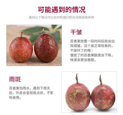 廣西百香果大果3斤現(xiàn)摘新鮮水果批發(fā)指南 把握黃金品質(zhì)，搶占市場先機(jī)
