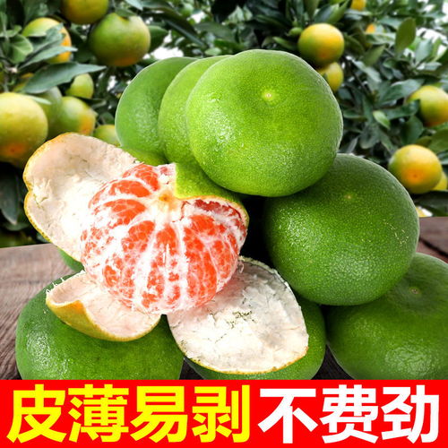 新鮮蜜橘批發(fā)指南 薄皮多汁，多倉直發(fā)
